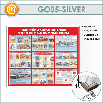 ����� ���������-������������ � ������ ���������� ����� (GO-05-SILVER)