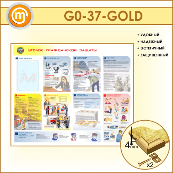 ����� ������� ����������� ������� � �������� (GO-37-GOLD)