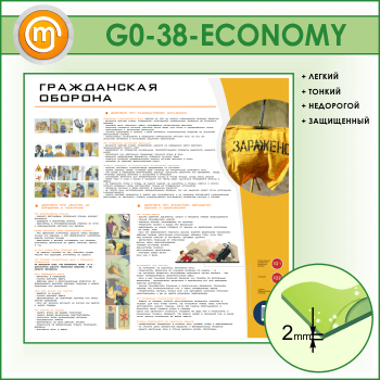 ����� ������������ ������� (GO-38-ECONOMY)