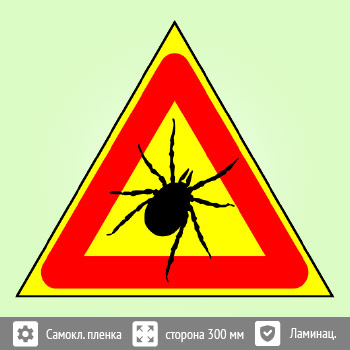 ���� �������! �����, B100 (������ c ��������������, ������� 200 ��)