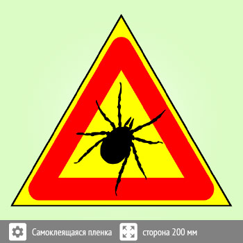 ���� ������, B98 (������, ������� 300 ��)