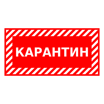 ���� ����������, Q12.3 (�������, 300�150 ��)