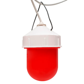 ������ ����������