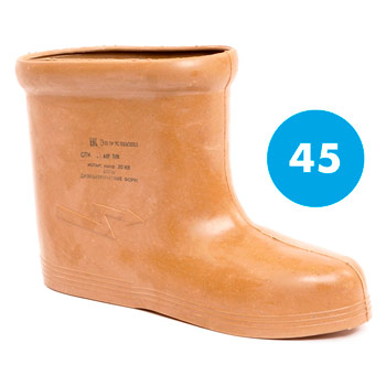 ���� ���������������